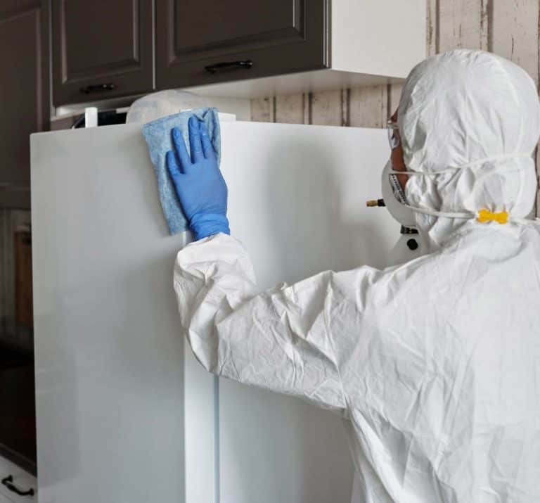 ניקיון למוסדות