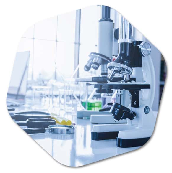 ניקיון חדרי עבודה מבוקרי אקלים